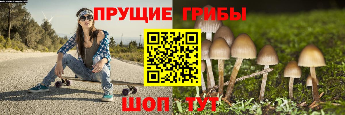 Курчалой  Галлюциногенные грибы мухоморы  Вход с VPN 